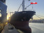 Судно для перевозки общих грузов 8800 тонн (Япония, 1998, ICS, Флаг: Белиз) Судно для перевозки общих грузов 8800 тонн (Япония, 1998, ICS, Флаг: Белиз)